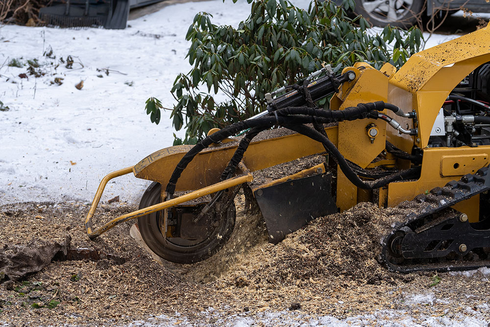 Baumdienst Baake - Stubbenfräse Baumdienst Baake - Stubbenfräse